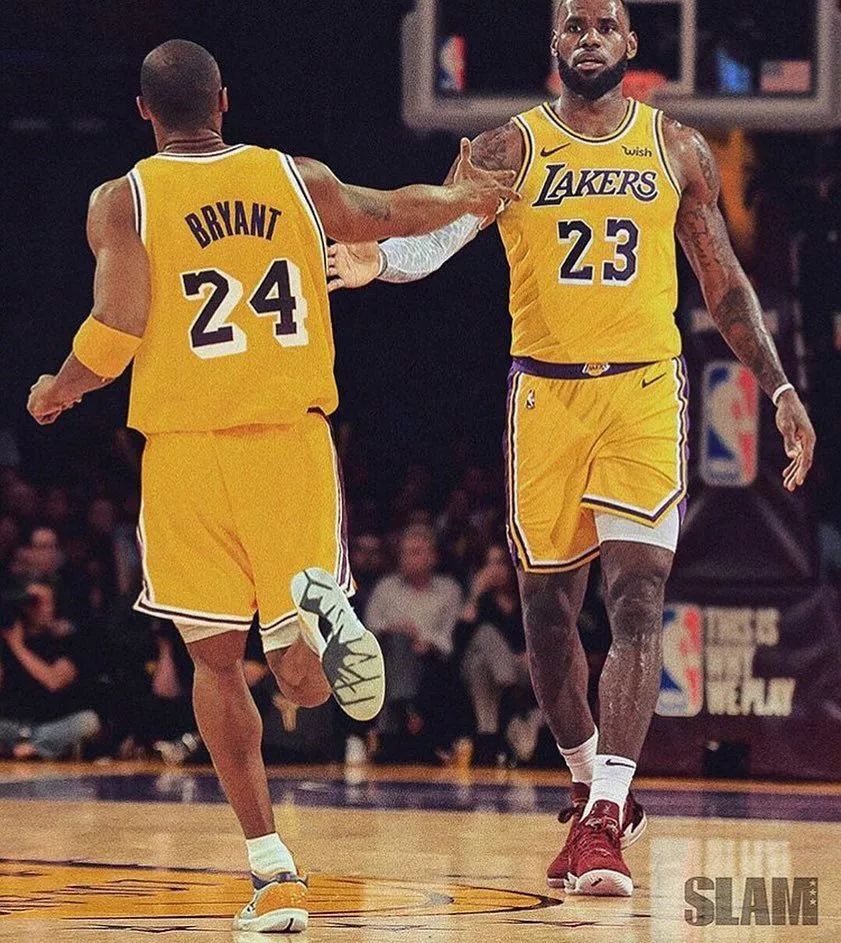 对手池排序 对手池排序